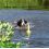 Hračka pre psov MOT Aqua aportovací kolík - plávajúci, 29cm