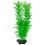 Cabomba caroliniana ( Green Cabomba) - rastlina Tetra 23 cm, M