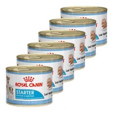 Royal Canin Starter Mousse konzerva pre brezivé alebo dojčiace suky a šteňatá 6 x 195 g