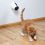Hračka pre mačku - laserové svetielko, 11 cm