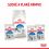 Royal Canin Indoor Sterilised In Jelly Pouch 12 x 85 g