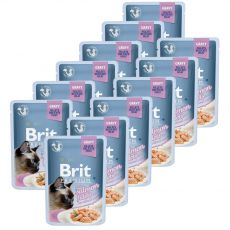 Kapsička BRIT Premium Cat Delicate Fillets in Gravy with Salmon for Sterilised 12 x 85 g