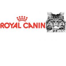 Čistokrvné mačky Royal Canin