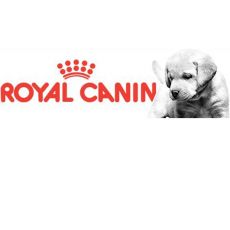 Šteňatá Royal Canin