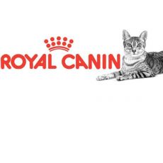 Dospelé mačky Royal Canin