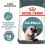 Royal Canin Hairball Care granule pre mačky pre správne vylučovanie 2 kg 
