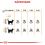 Royal Canin Hair And Skin Care granule pre mačky pre zdravú kožu a srsť 10 kg