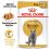 Royal Canin British Shorthair kapsička pre britské krátkosrsté mačky v šťave, 12 x 85 g